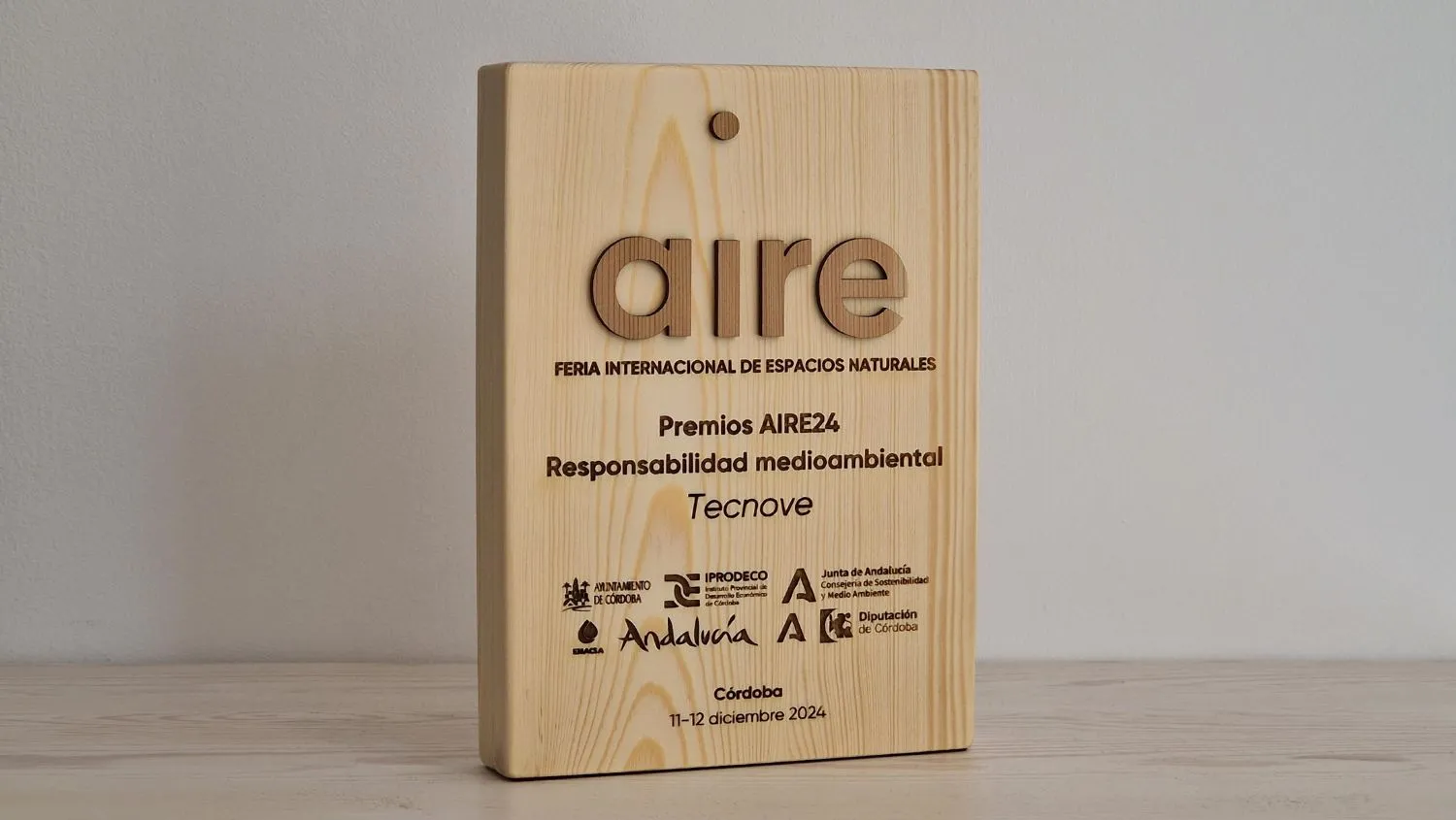 Premios AIRE 2024