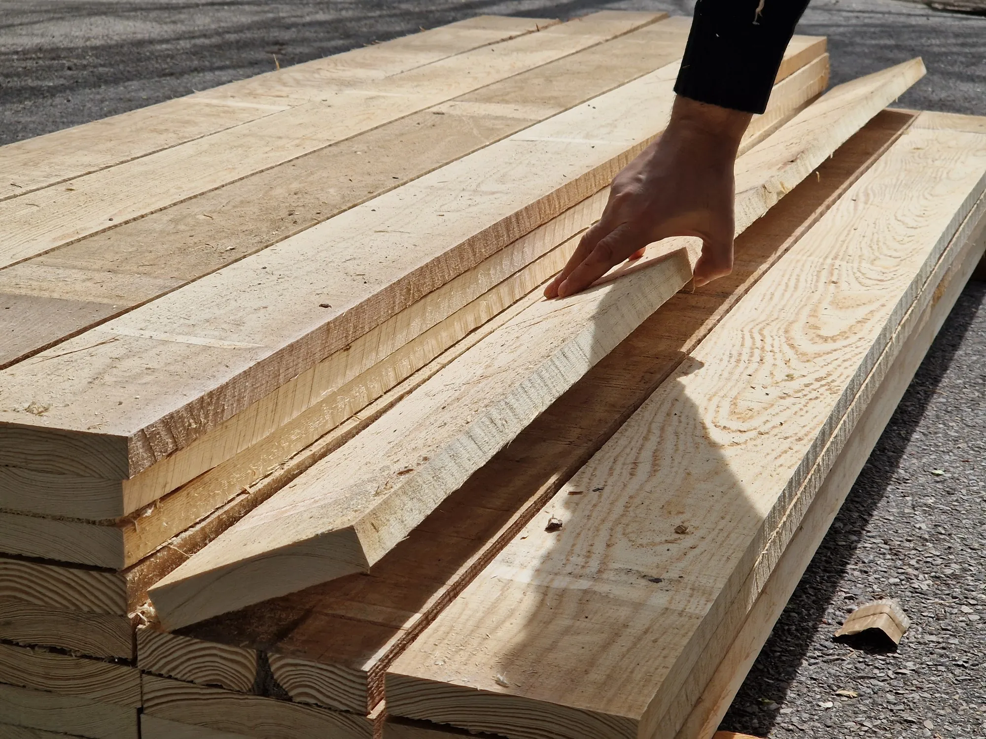 Reconocimientos I Encuentro Holapueblo